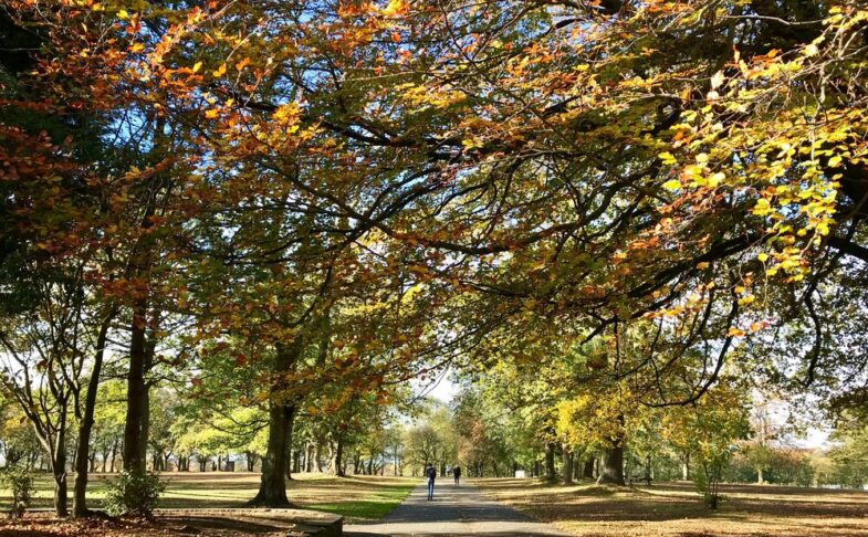 Woodhouse Moor