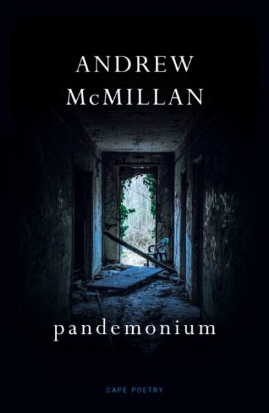 Andrew McMillan pandemonium cover