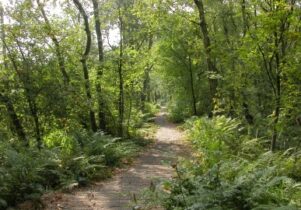 Danes Moss Nature Reserve