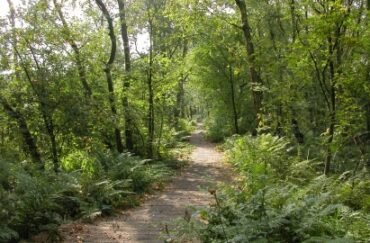 Danes Moss Nature Reserve