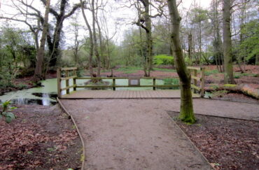Quaker's Coppice