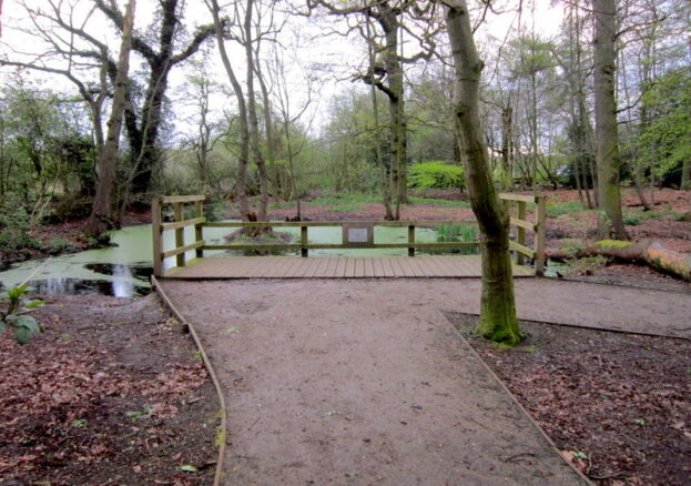 Quaker's Coppice