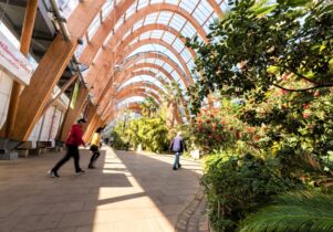 Winter Gardens, Sheffield