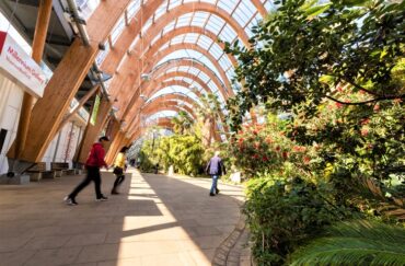 Winter Gardens, Sheffield