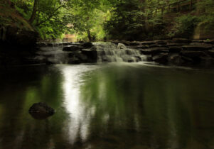 Jesmond Dene