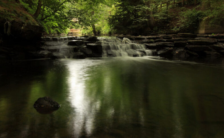 Jesmond Dene