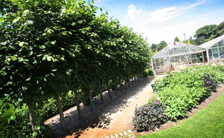 Botanical Gardens