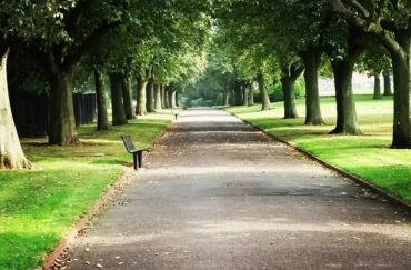 Doxford Park