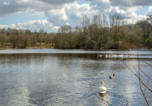 Rowley Lake