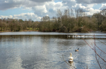 Rowley Lake