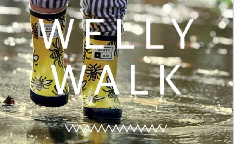 welly walk