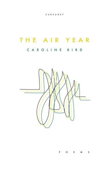 Caroline Bird The Air Year cover