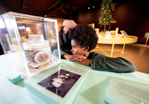 Cancer revolution at the Science and Industry Museum