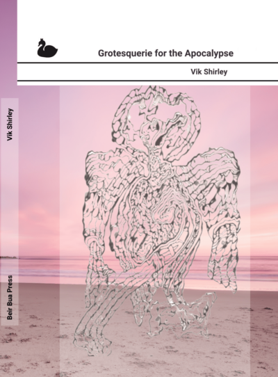 Grotesquerie For The Apocalypse by Vik Shirley cover