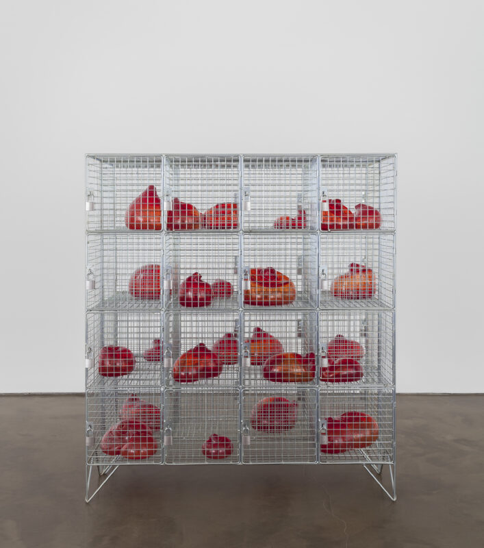 Mona Hatoum's glass piece 'Cells' of red glass shapes inside small metal cages