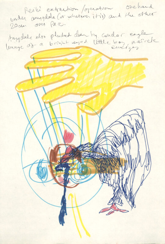 Pia Lindman, GL 28 (Naivete), 2016 From the Nose, Ears, Eyes series Courtesy the artist