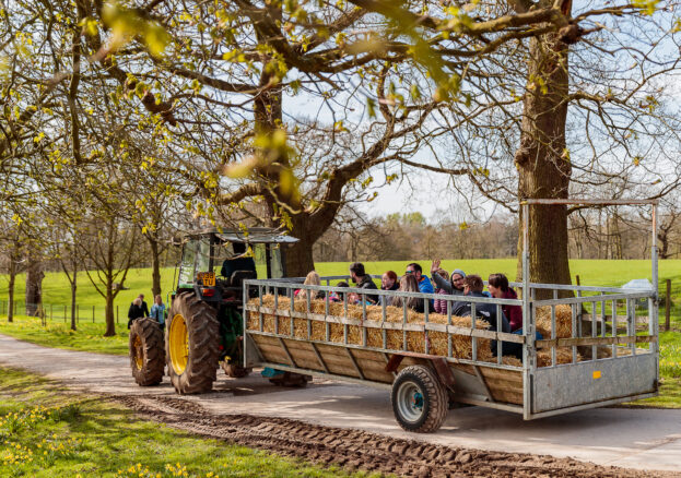 Farm Weekend at Alderley Park