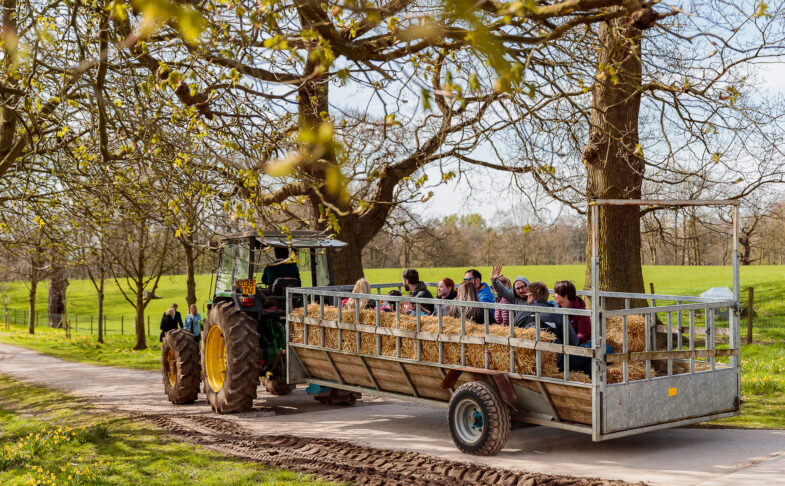 Farm Weekend at Alderley Park