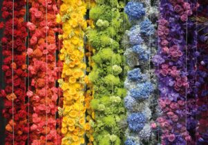 Pride in Nature at RHS Garden Bridgewater
