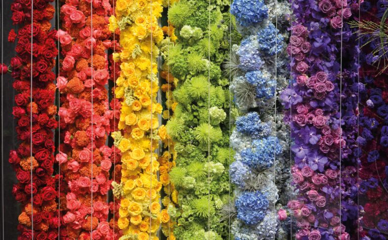 Pride in Nature at RHS Garden Bridgewater