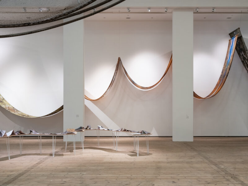 Carolina Caycedo, Land of Friends, installation view