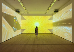 Patron Mono by Carolina Caycedo, image depicts a figure standing in a room with a three channel video emitting a yellow light