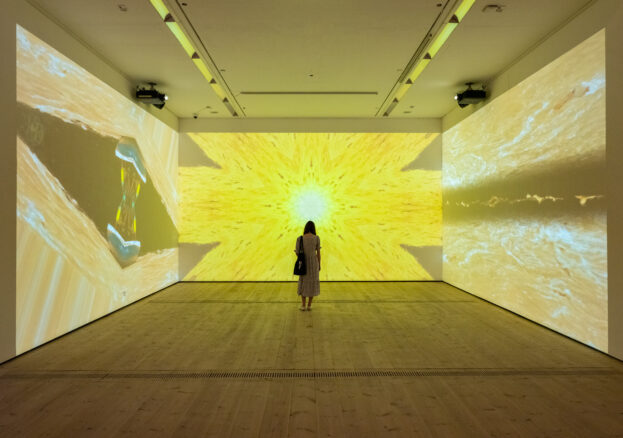 Patron Mono by Carolina Caycedo, image depicts a figure standing in a room with a three channel video emitting a yellow light