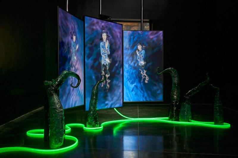 Installation view of Diety by Sian Fan