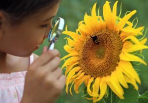 May Half Term at RHS Bridgewater