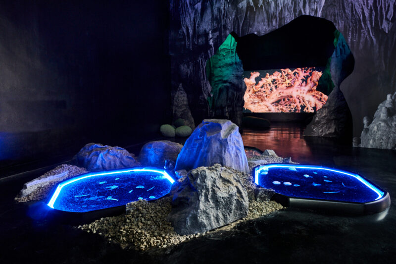 Josèfa Ntjam, When the moon dreamed of the ocean (2022). Installation view at FACT Liverpool. Photo by Rob Battersby