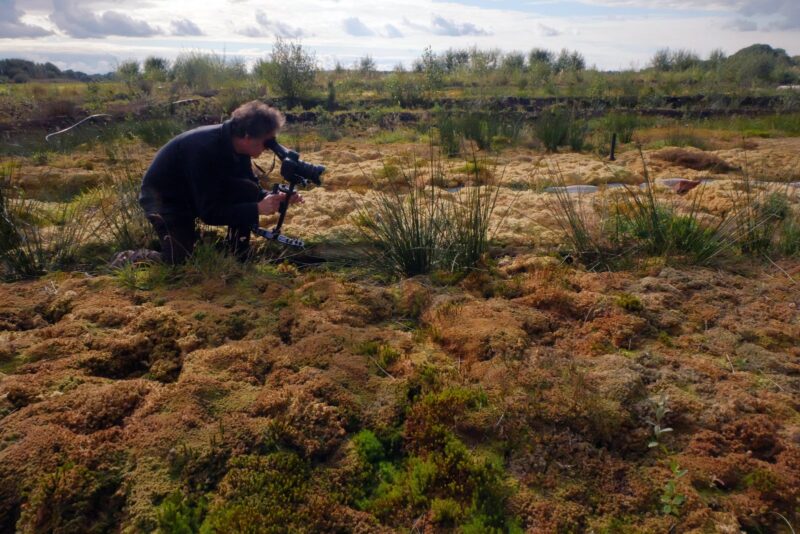 Nick Jordan filming, Chat Moss peatland