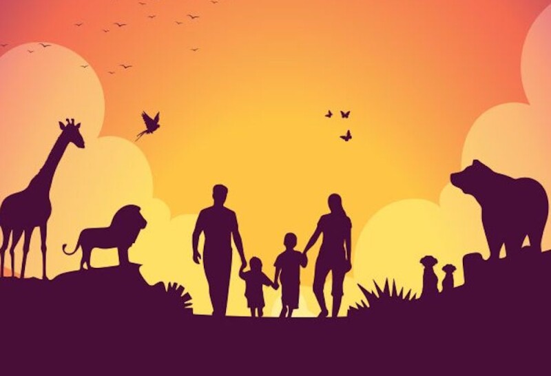 into-the-night-at-chester-zoo-families-creative-tourist