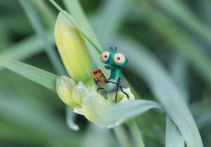 The Grand Bug & Pest Hotel Hunt