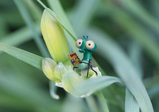 The Grand Bug & Pest Hotel Hunt