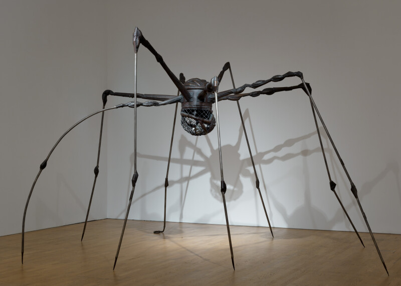 Louise Bourgeois's Spiders: A Guide to Their History and Meaning