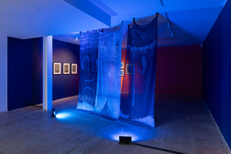 The Poetics of Water, installation view of Jessica El Mal's work. Photo by Jules Lister