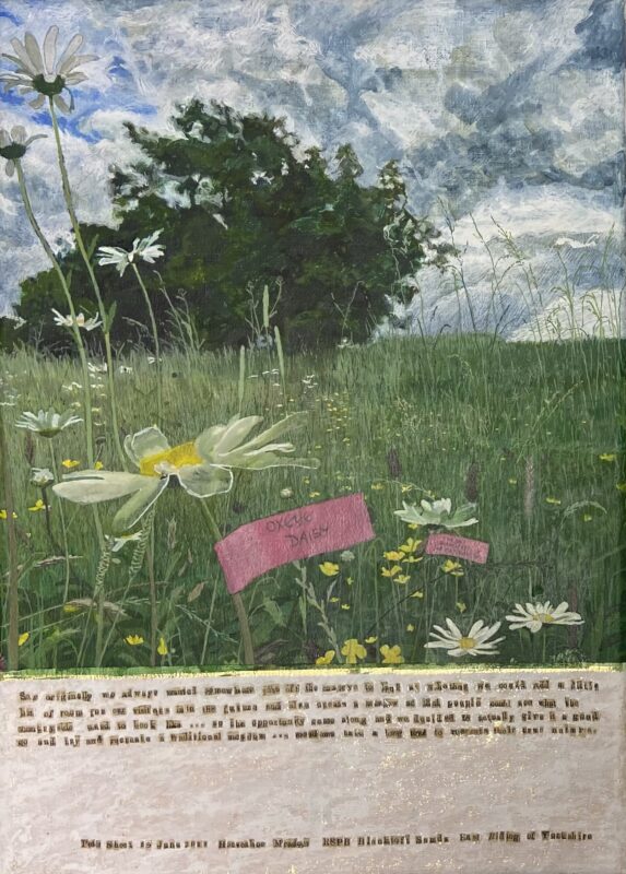 The Understory - meadows take a long time to recreate their nature, 2022, Watercolour on linen