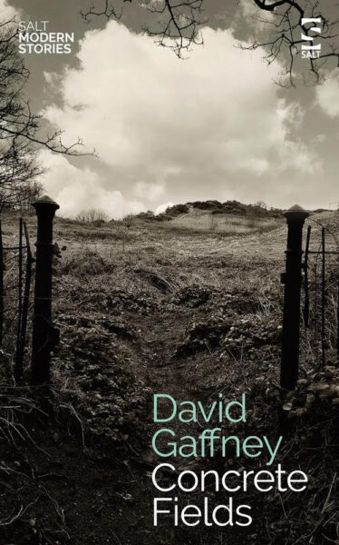 Concrete Fields by David Gaffney front cover