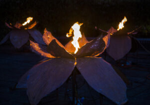 Fire Garden at Avenham and Miller Parks