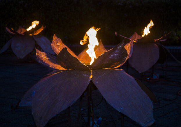 Fire Garden at Avenham and Miller Parks