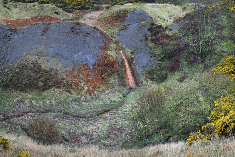 A natural landscape photographed in high definition to show vivid colours, including blues, greens and yellows, and composed to look like a pattern rather than specific location.