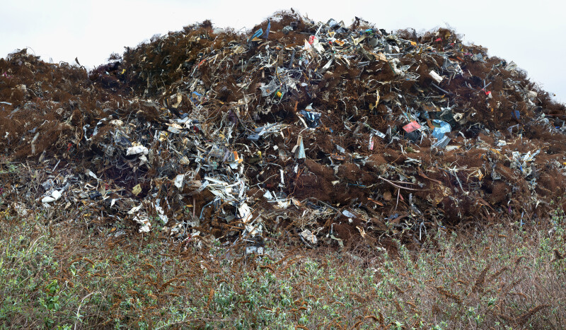 A mound of debris in nature made up of plants and general rubbish.