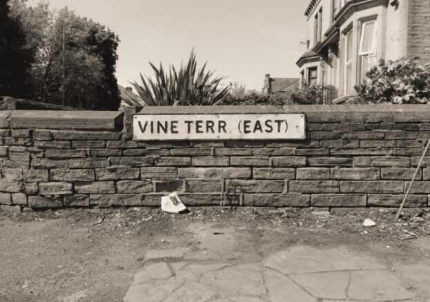 Street road sign saying Vine terr (east) on a brick wall with house visible in background