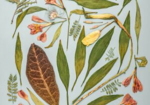 The image shows a close-up view of a collection of pressed flowers and leaves. The flowers and leaves are arranged in a circular pattern on a light blue background. The flowers are in various colors, including pink, purple, and yellow. The leaves are in various shades of green and brown. Some of the leaves have veins that are visible.