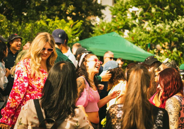 Festival-goers at Green Island