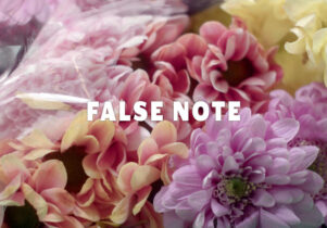 Close up image of peach, pink and lilac flowers with the words 'False Note' in a white block font.