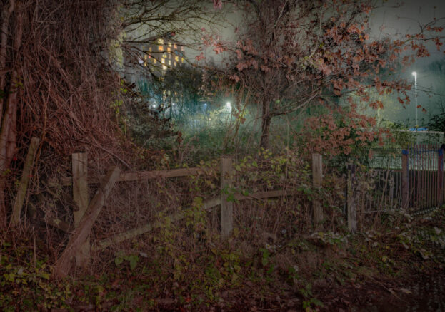 Not Quite Light Twilight walk promo - dusk fence and woodland 