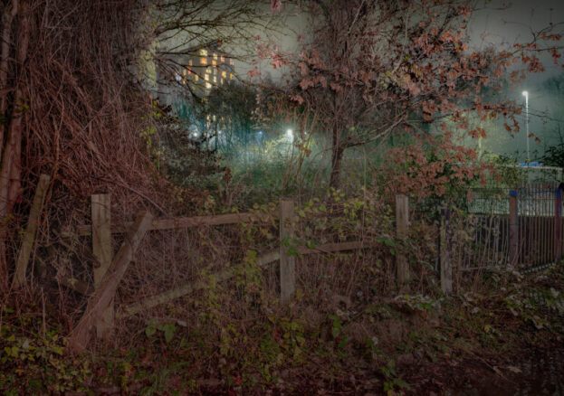 Not Quite Light Twilight walk promo - dusk fence and woodland