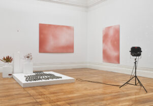 Installation view of Revital Cohen and Tuur Van Balen, Daughter of Dog. Two pink canvases on white walls, the wooden floor is stage to plinths containing potted plants and objects.