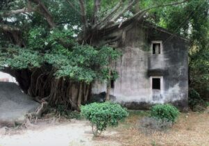 Dahoong Hongxuan Wang